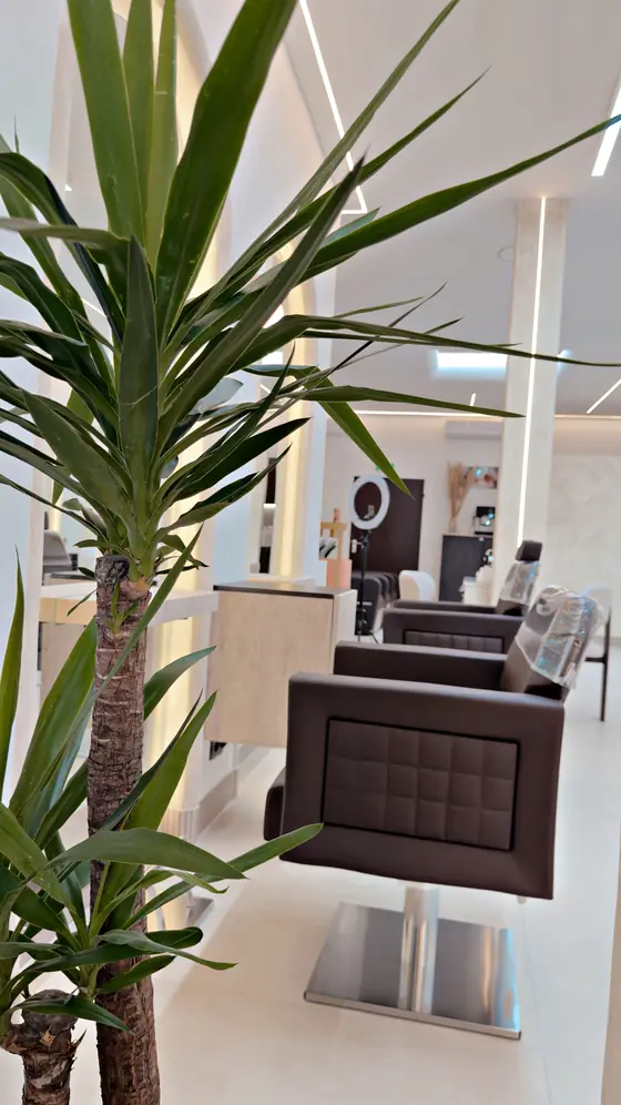 Bedienstuhl neben einer Yucca-Palme, Blick durch den Salon